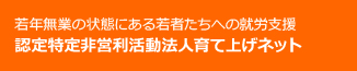 若年無業の状態にある若者たちへの就労支援 認定特定非営利活動法人育て上げネット