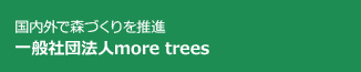 国内外で森作りを推進 一般社団法人more trees