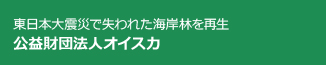 東日本大震災で失われた海岸林を再生 公益財団法人オイスカ