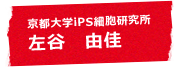 京都大学iPS細胞研究所 左谷 由佳