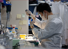 Center for iPS Cell Research and Application (CiRA), Kyoto University