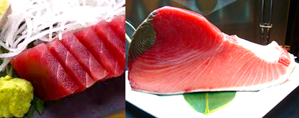Kindai tuna sashimi