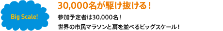 30,000名が駆け抜ける！参加予定者は30,000名！世界の市民マラソンと肩を並べるビッグスケール！