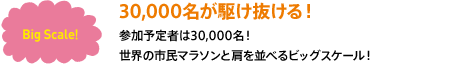 30,000名が駆け抜ける！参加予定者は30,000名！世界の市民マラソンと肩を並べるビッグスケール！