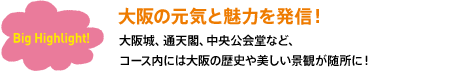 大阪の元気と魅力を発信！大阪城、通天閣、中央公会堂など、コース内には大阪の歴史や美しい景観が随所に！