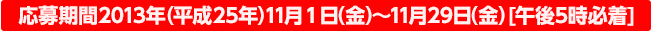応募期間2013年(平成25年)10月17日(木)～11月15日(金)