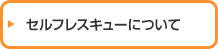 セルフレスキューについて