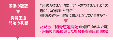 「呼吸の確認～胸骨圧迫開始の判断」”呼吸がない”または”正常でない呼吸”の場合は心停止と判断(呼吸の確認…確実に胸が上がっていますか？)→ただちに胸骨圧迫開始(胸骨圧迫のみで可)