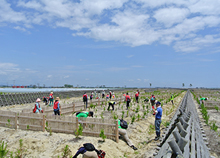 Volunteers helping in the maintenance of the project site.