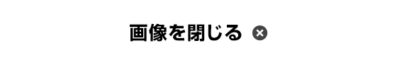 画像を閉じる