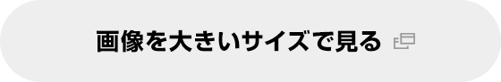 画像を拡大する