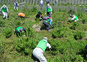 Volunteers from all over Japan come to help every month.