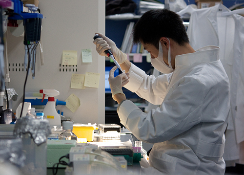 © 京都大学iPS細胞研究所<br>寄付は、9割が非正規である所員の雇用等に活用