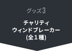 チャリティウィンドブレーカー(全１種)