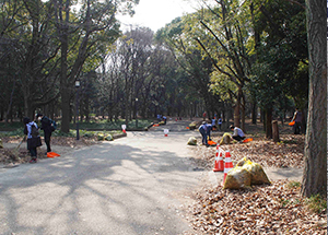 Volunteer activities working only on the mornings of holidays so that you don’t get tired.