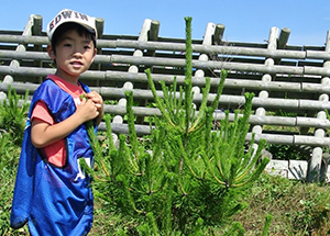 Volunteers from all over Japan come to help every month.