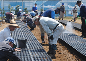 From sowing up to planting preparations are done by local farmers.