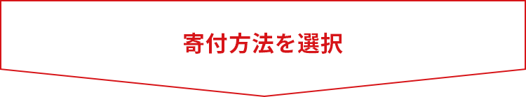 寄付方法を選択