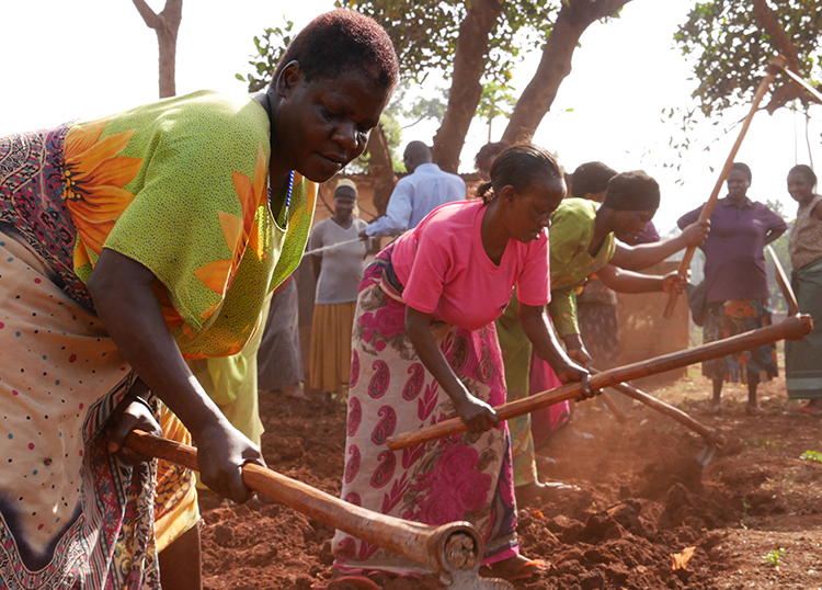 Hands-on learning in agriculture supporting efforts for a better livelihood