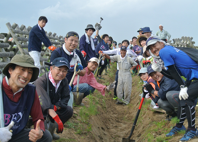 Volunteers from nationwide come to help managing coastal forest, which is an ongoing process for several decades to come.