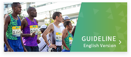 GUIDELINE English Version