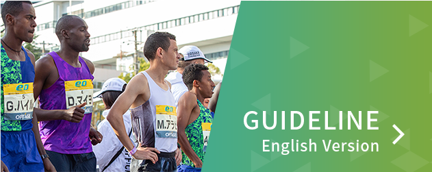 GUIDELINE English Version