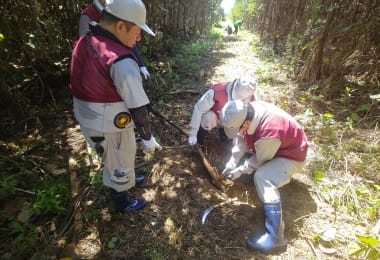 海岸防災林を育てるため、継続的な育林作業を行っています