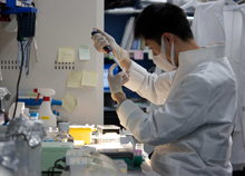 京都大学iPS細胞研究所の写真