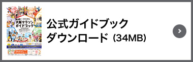 公式ガイドブックダウンロード(34MB)